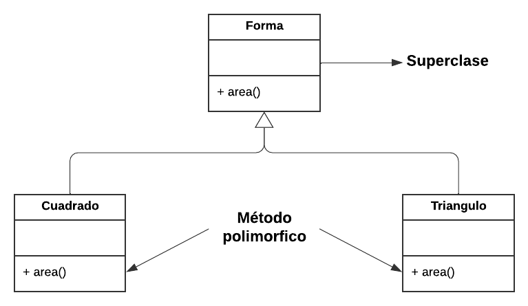 Polimorfismo