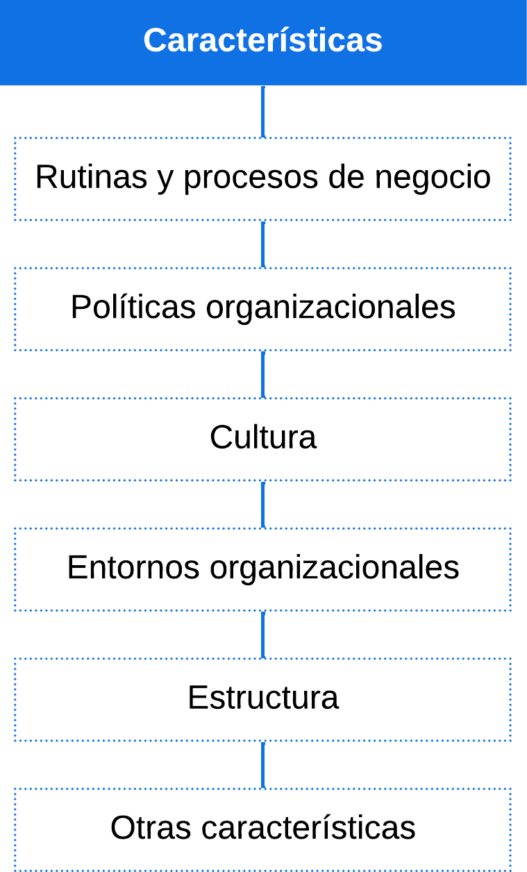 Caracteristicas_organizaciones