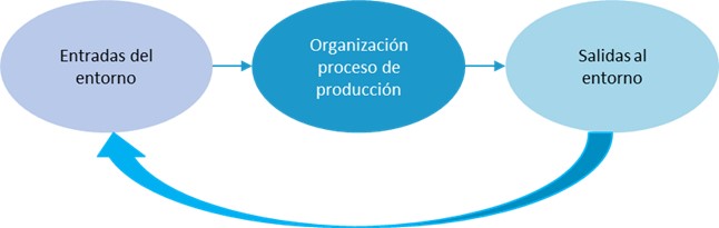 Funcionamiento_organizacion