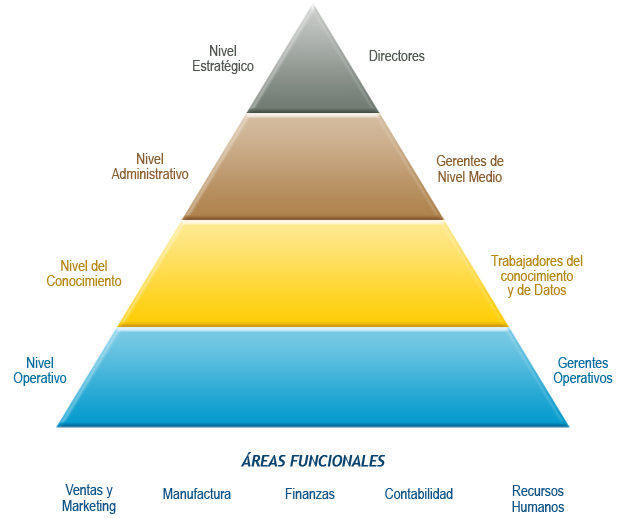 Piramide_organizacional