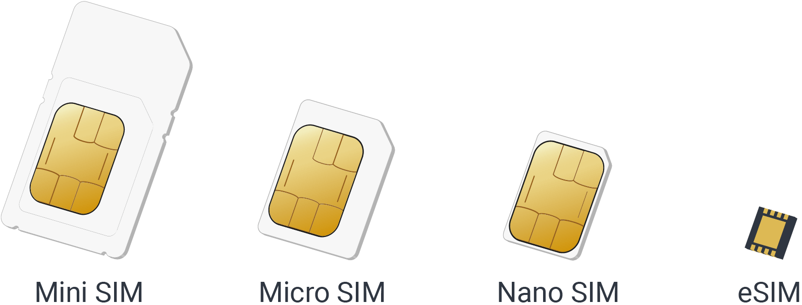 Evolucion_SIM